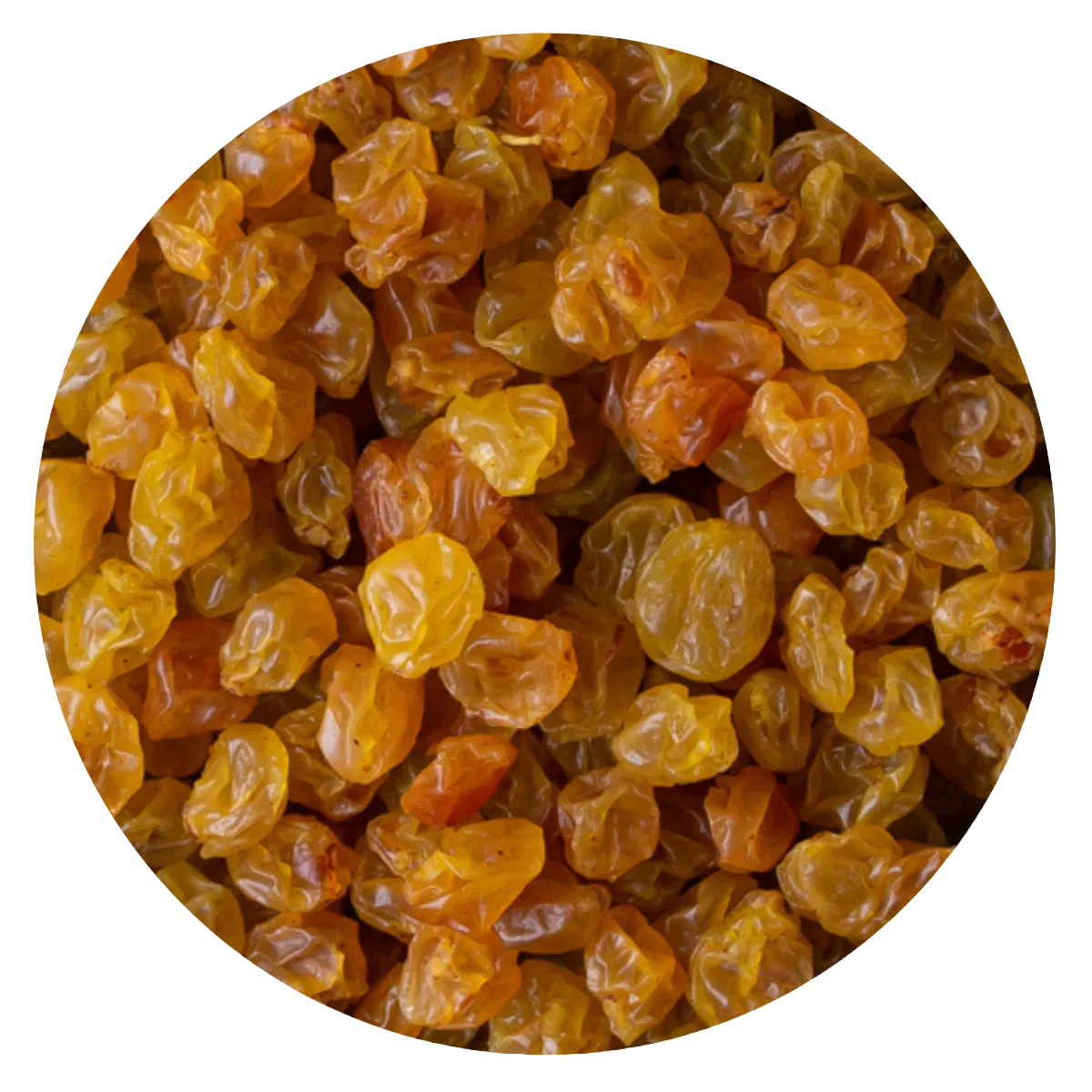Pasa uva rubia